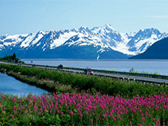 Iditarod